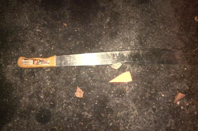 The machete allegedly brandished by the suspect